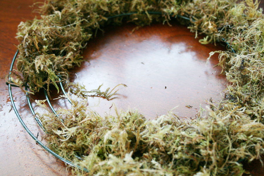 Moss